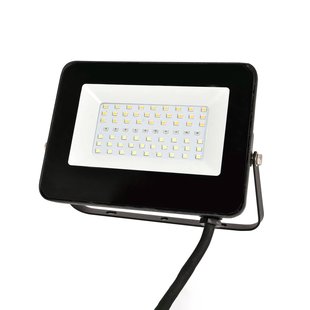 Prios Liezel LED-buitenspot 30W RGBW Tuya