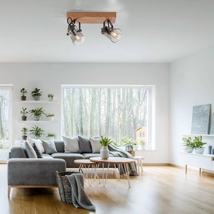 JUST LIGHT. GmbH Groene Langström plafondspot, 2-lamps