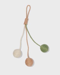 HEMA Speeltje voor katten