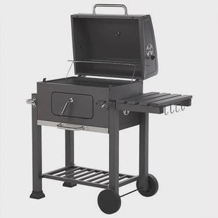 Beliani - PAVLOF - Houtskoolgrill - Grijs - Staal