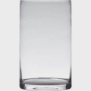 Hakbijl Glass Vaas - cilinder - glas - transparant - 15 x 25 cm