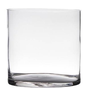 Hakbijl Glass Vaas - cilinder - glas - transparant - 19 x 19 cm Hakbijl Glass Vaas - cilinder - glas - transparant - 19 x 19 cm