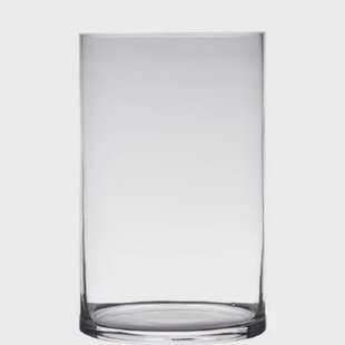 Hakbijl Glass Vaas - cilinder - glas - transparant - 19 x 40 cm