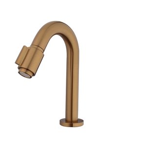 Fonteinkraan BWS Karsten Luxe 1/2 Geborsteld Brons Koper