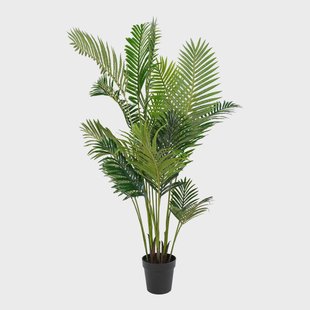 Kunst Goudpalm Areca | House Nordic Kunst Goudpalm Areca | House Nordic