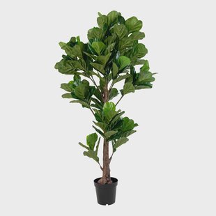 Kunst Ficus lyrata Vioolplant | House Nordic Kunst Ficus lyrata Vioolplant | House Nordic