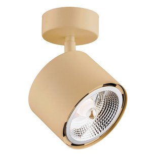 Argon Plafondspot Chloe verstelbaar 1-lamp, goud