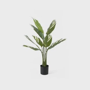 present time - Artificial Plant Calathea