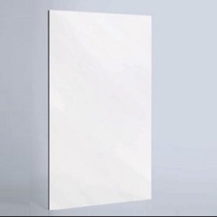BWS Inloopdouche Pro Line Helder Glas 30x200 8mm Nano Coating