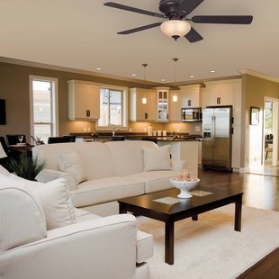 Westinghouse Everett ventilator met lamp