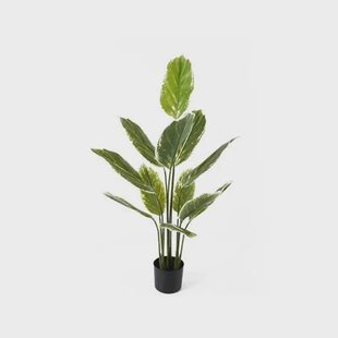 present time - Artificial Plant Calathea Large