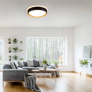 JUST LIGHT. GmbH Plafondlamp Emilia 3-staps dimbaar zwart