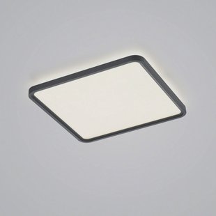 Helestra Vesp LED paneel backlight 61x61cm zwart