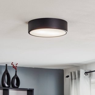 TEMAR LIGHTING Plafondlamp Cleo, Ø 30 cm, IP20, zwart, metaal, E27