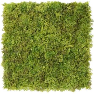 Kunstmos wand MOSS Lime Green 1m2