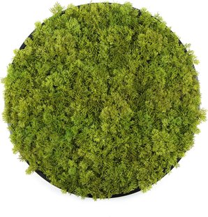Kunst moscirkel MOSS Lime Green 75cm. antraciet
