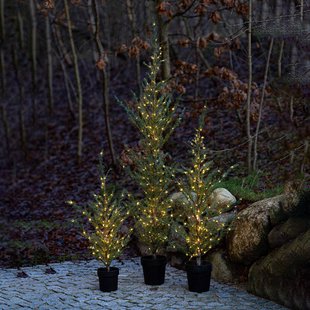Sirius LED boom Milas Cedar Tree in pot, voor buiten