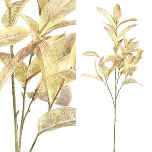 PTMD - Kunstplant Leaves - Bruin - 62x44x102cm