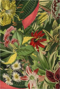 Moooi Carpets - Vloerkleed Herbarium of Extincts Plants Rectangle Wool - 200x300 cm