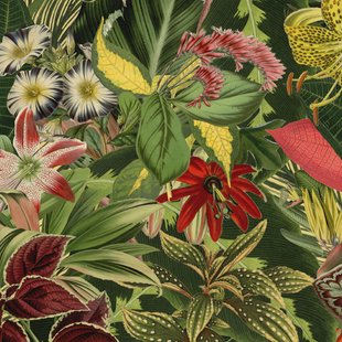 Moooi Carpets - Copy of Vloerkleed Herbarium of Extincts Plants Square Wool - 250x250 cm