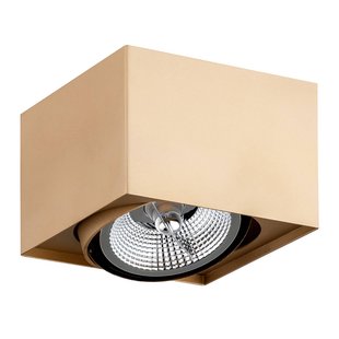 Argon Plafondspot Riesta, goud, 1-lamp Argon Plafondspot Riesta, goud, 1-lamp