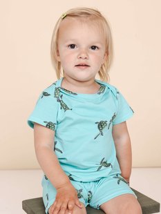 Sea Turtles Boxpakje