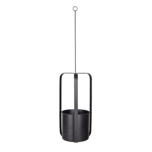 Hangbloempot Osorno M Hangbloempot Osorno M