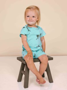 Sea Turtles Boxpakje