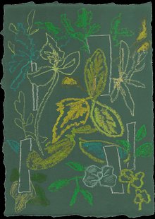 Moooi Carpets - Vloerkleed Sprouts Scarlet Green Wool -