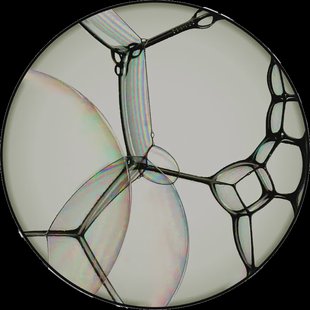 Moooi Carpets - Vloerkleed Bubble Natural Zoom Soft Yarn -