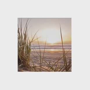 Art for the Home Zonsondergang Duinen Buitencanvas 50x50 cm