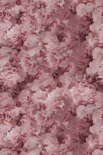 Moooi Carpets - Laagpolig Vloerkleed Hortensia Pink Wool -