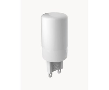G9 peertjes, neutraal wit, 6 stuks