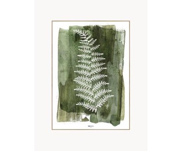 Ingelijste digitale print White Fern