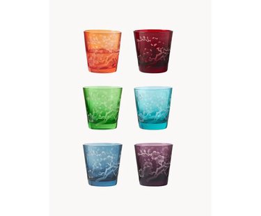 Waterglazen Bloom, 6-delig