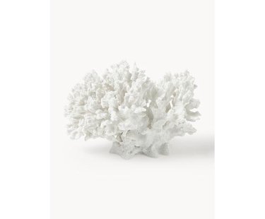 Design decoratief object Coral