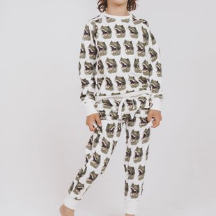 Dino Trui en Broek set Kinderen