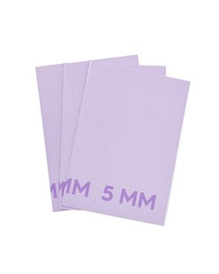 HEMA Schriften lila A4 geruit 5mm - 3 stuks