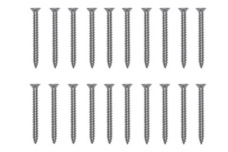 Platinum | Schroeven 20x | RVS