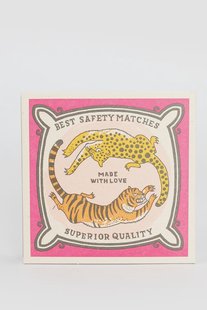 Lucifers chasing cats