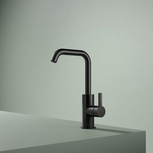 Hotbath Ace Wastafelmengkraan - opbouw - draaibare uitloop - zonder waste - zwart geborsteld PVD AC004MBP