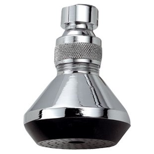 Hoofddouche BWS Lester Rond Chroom