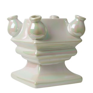 Stapelgekte Parelmoer bodem