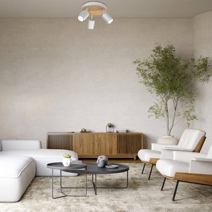 Envostar Tino plafondspot 3-lamps rond wit/hout