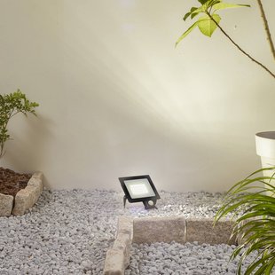 Prios LED buitenspot Maikel, 50W, 4000lm, metaal, sensor