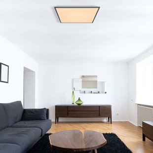 Globo Doro plafondlamp, lengte 59 cm, wit/grafiet, aluminium