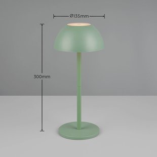 Reality Leuchten Ricardo LED tafellamp, groen, hoogte 30 cm, kunststof