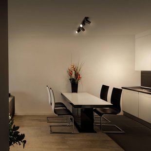 LEDVANCE Octagon LED spot, zwart, metaal, 60 cm, GU10