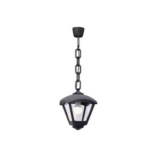 Fumagalli Buiten hanglamp Sicar/Dario zwart, heldere afdekking, E27 CCT