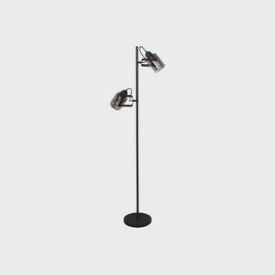Freelight Vloerlamp Fumoso, 2-lamps, hoogte 143 cm, zwart/rookgrijs